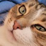 Evhenii Vitalievich Profile Picture