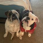 Joseph Elder Profile Picture