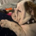 Corey Elder Profile Picture